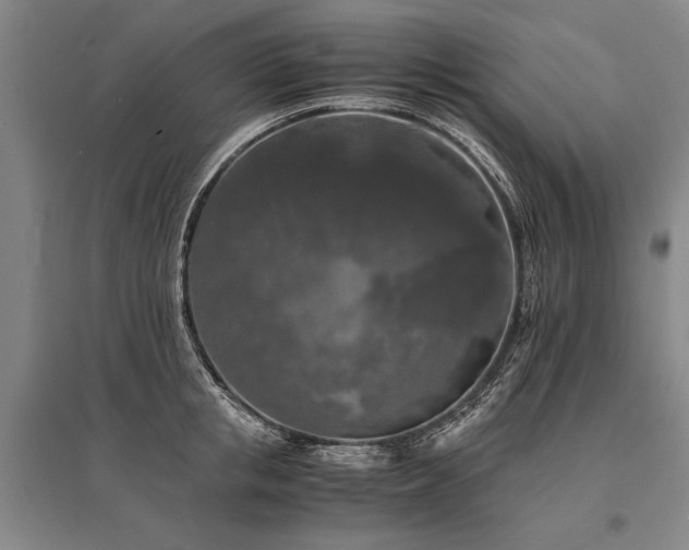 X0000095520853200712141444