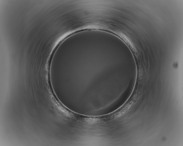 X0000095520854200712141444