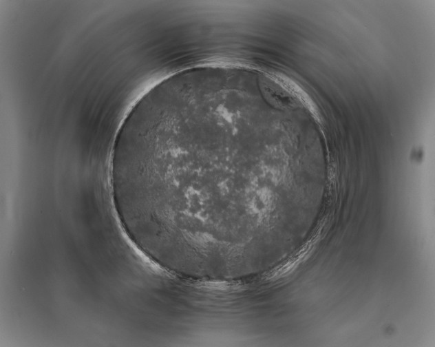 X0000095520855200712141444