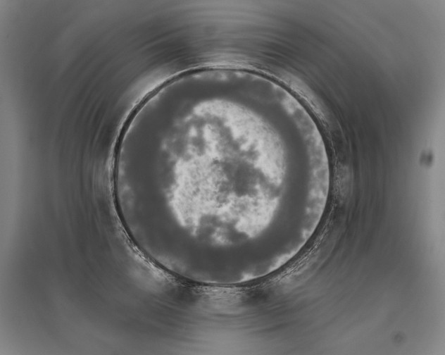 X0000095520856200712141444