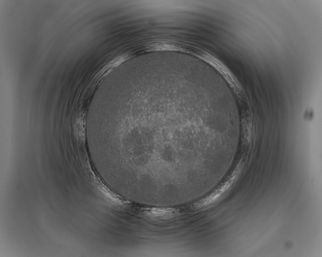 X0000095520857200712141444