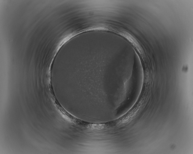 X0000095520858200712141444