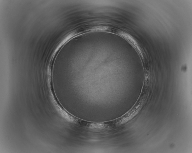 X0000095520859200712141444