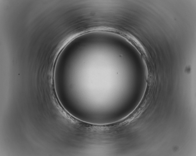 X0000095520860200712141444