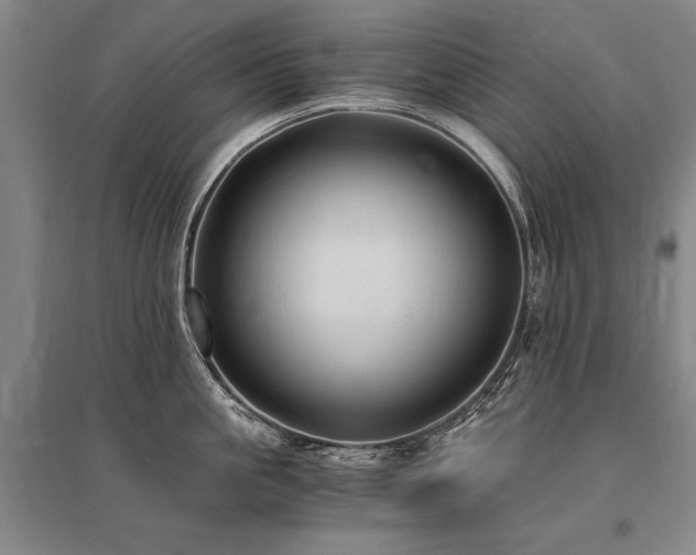 X0000095520861200712141444