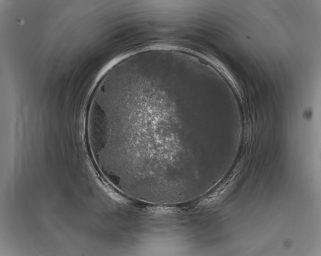 X0000095520862200712141444