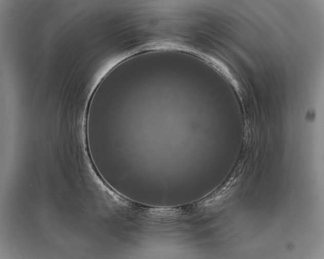 X0000095520863200712141444