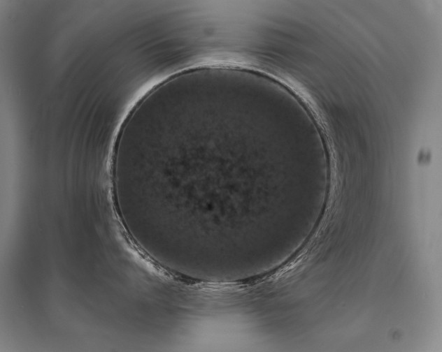 X0000095520864200712141444