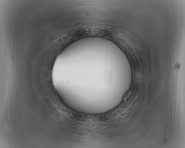 X0000095520865200712141444