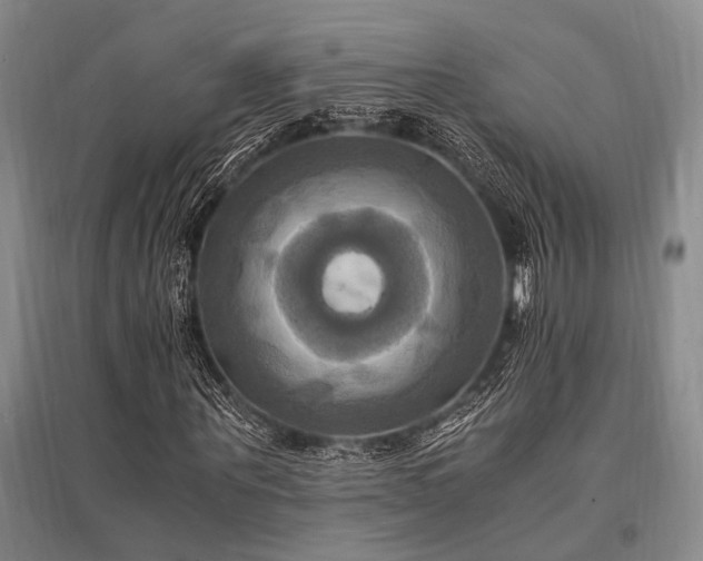 X0000095520867200712141444
