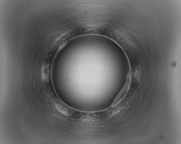 X0000095520868200712141444