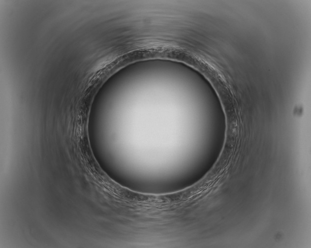 X0000095520869200712141444