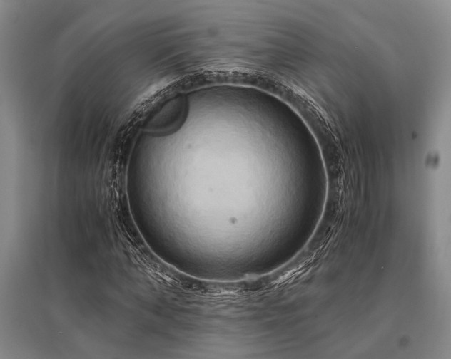 X0000095520870200712141444