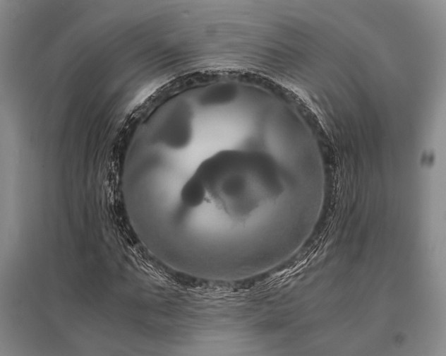 X0000095520871200712141444