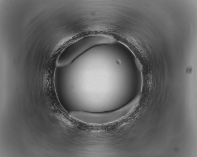 X0000095520872200712141444