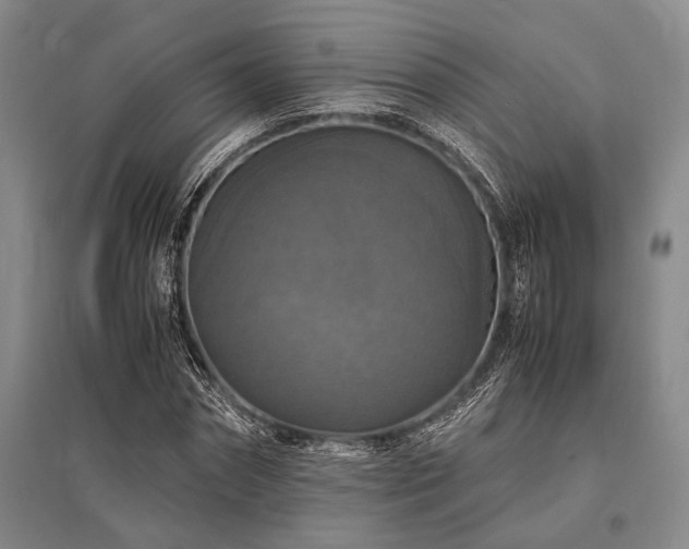 X0000095520874200712141444