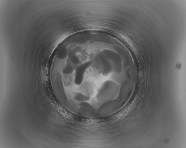 X0000095520875200712141444