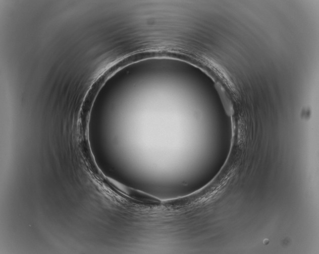 X0000095520876200712141444