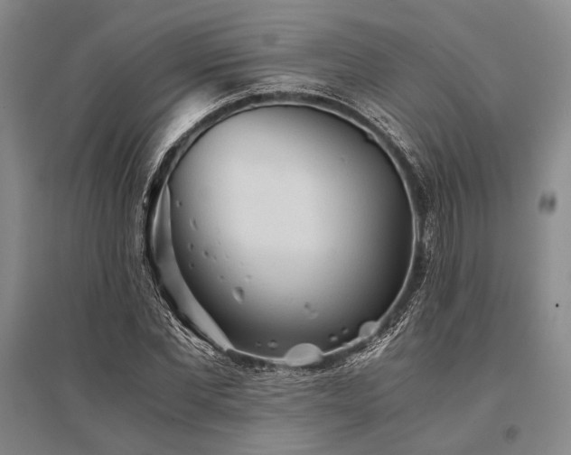 X0000095520877200712141444