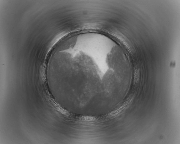 X0000095520878200712141444
