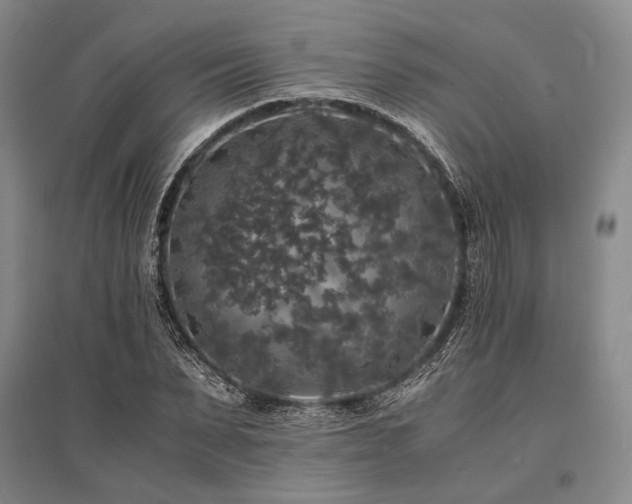X0000095520879200712141443