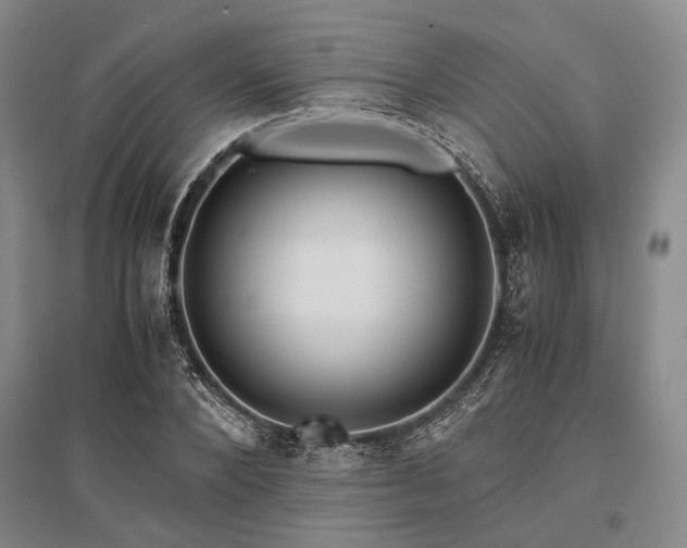X0000095520880200712141443