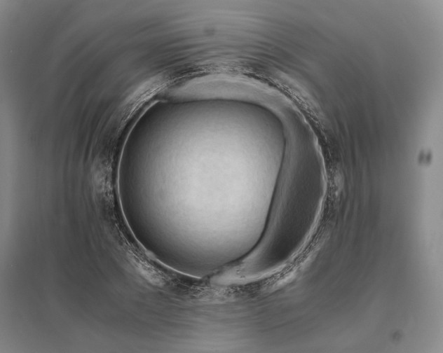 X0000095520881200712141443