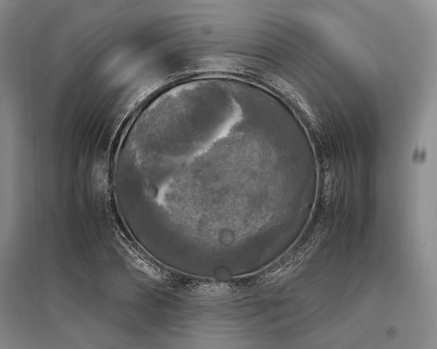 X0000095520882200712141443