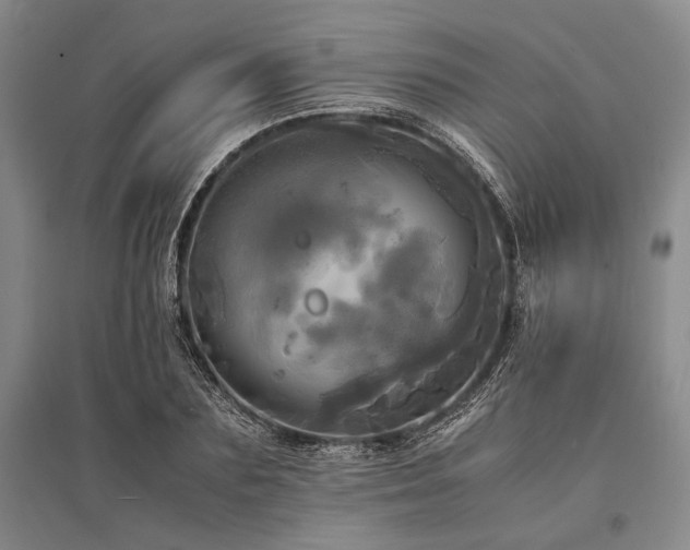 X0000095520883200712141443
