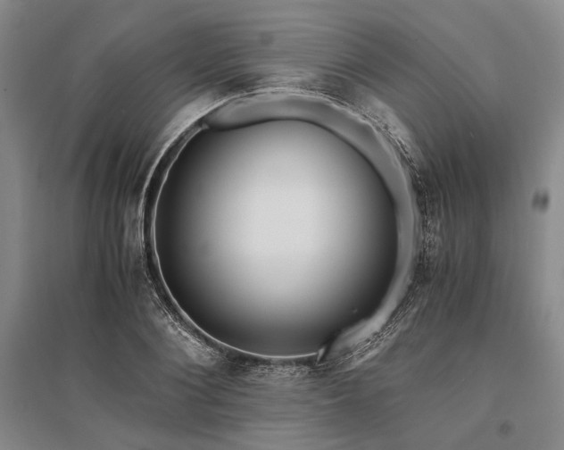 X0000095520884200712141443