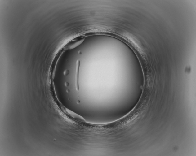 X0000095520885200712141443