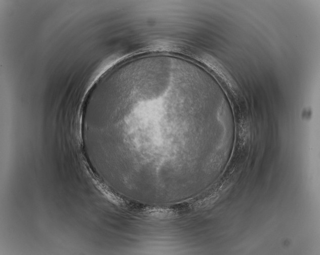 X0000095520886200712141443