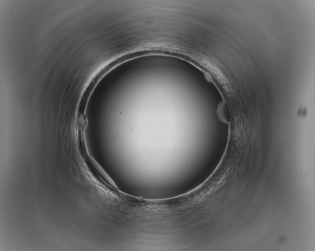 X0000095520888200712141443