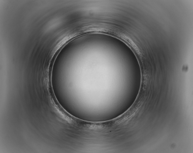X0000095520890200712141443