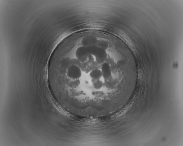 X0000095520891200712141443