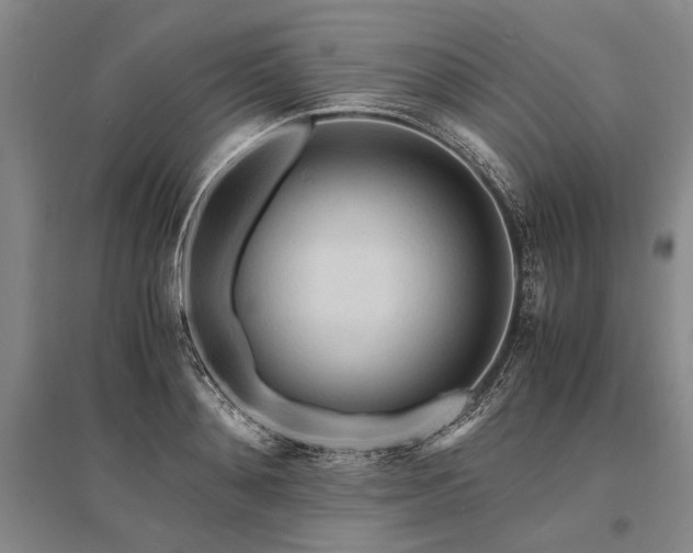X0000095520892200712141443