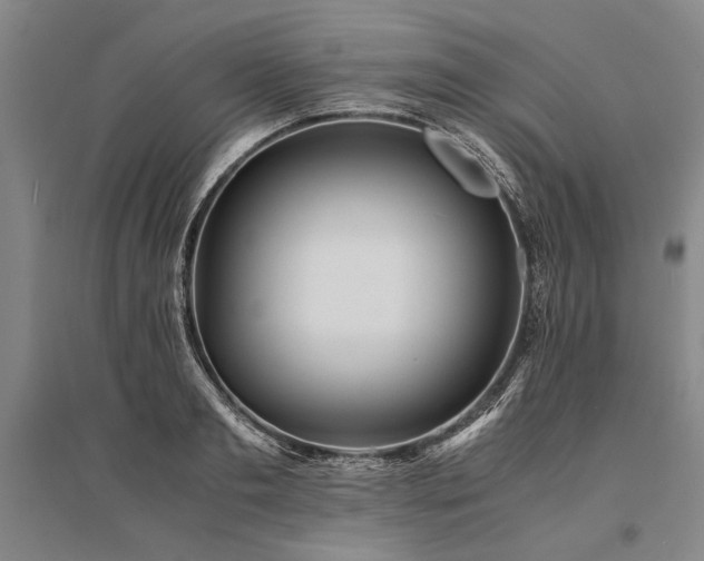 X0000095520893200712141443