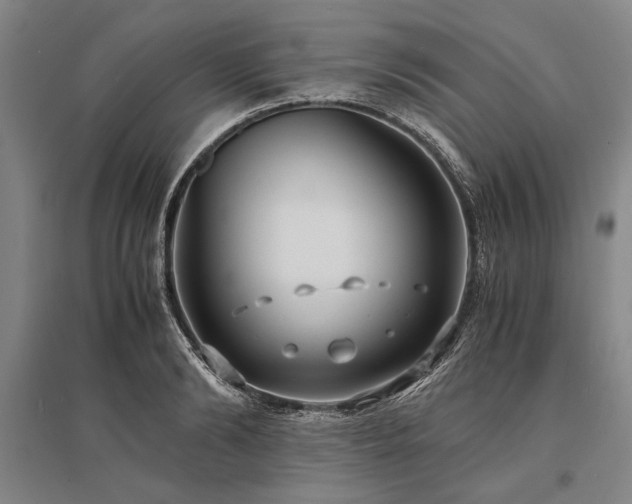 X0000095520894200712141443