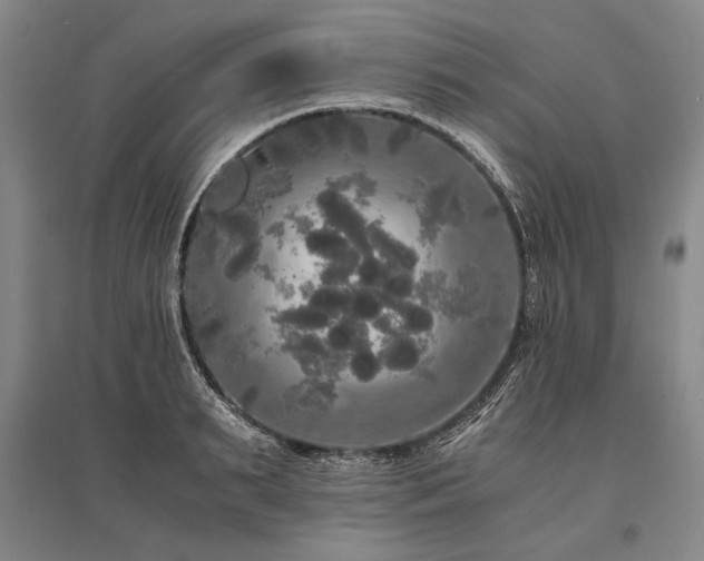 X0000095520895200712141443