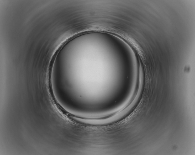X0000095520896200712141443