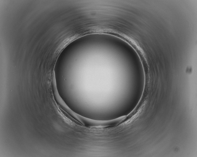 X0000095520897200712141443