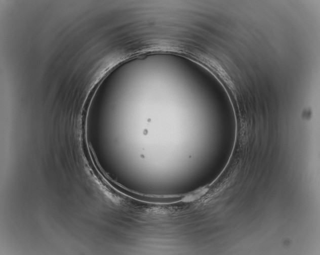 X0000095520898200712141443