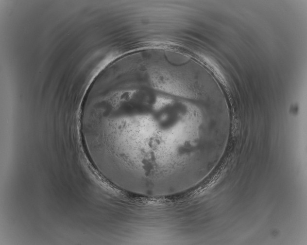 X0000095520899200712141443