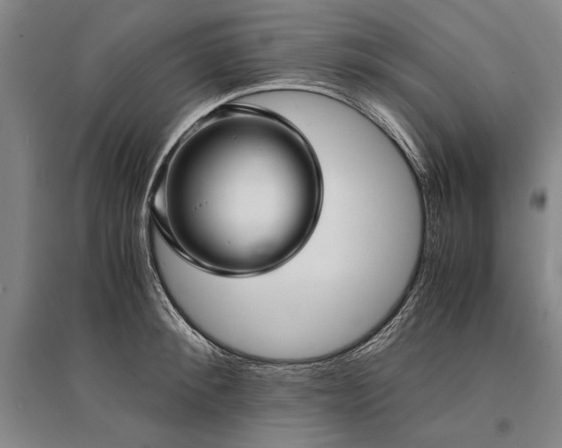 X0000095520900200712141443