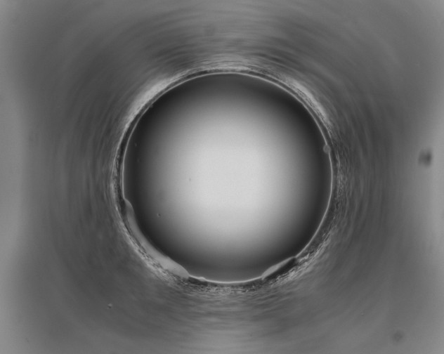 X0000095520901200712141443