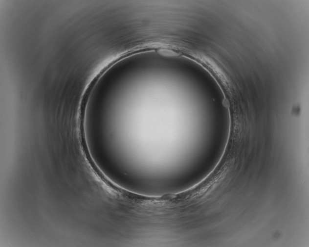 X0000095520902200712141443