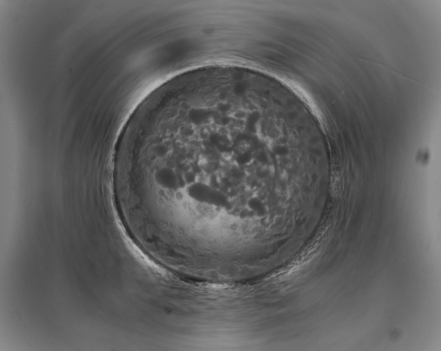 X0000095520903200712141443