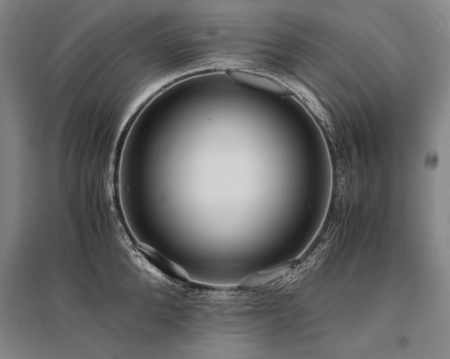 X0000095520904200712141443