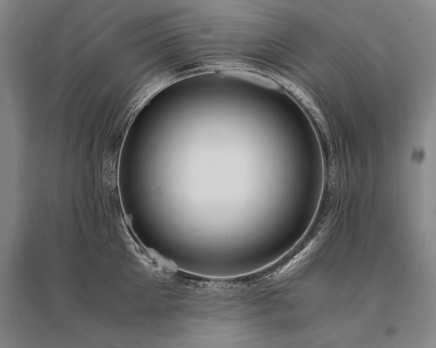 X0000095520905200712141443