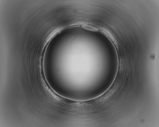 X0000095520906200712141443